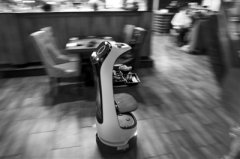 机器人|中国机器人“服务”比利时餐馆