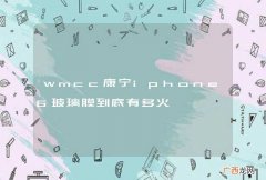 wmcc康宁iphone6玻璃膜到底有多火