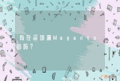 有在深圳搞Magento的吗？