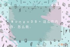 MongoDB 这么吃内存，怎么救。