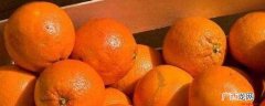 粑粑柑和橘子的区别在于 粑粑柑和橘子有什么区别