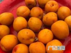 大黄杏怎么吃