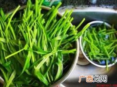 竹叶菜怎么做好吃