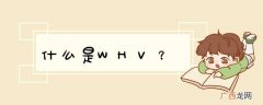 什么是WHV？