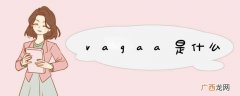 vagaa是什么